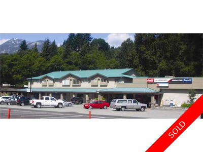 Valleycliffe Multi-Family (Commercial) for sale:  1 bedroom